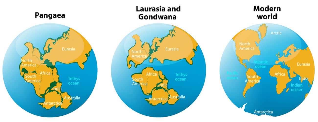 Карты частей материков и океанов. Материк Пангея Лавразия Гондвана. Пангея Лавразия и Гондвана. Древние материки Пангея Лавразия Гондвана. Таблица Пангея Лавразия Гондвана.