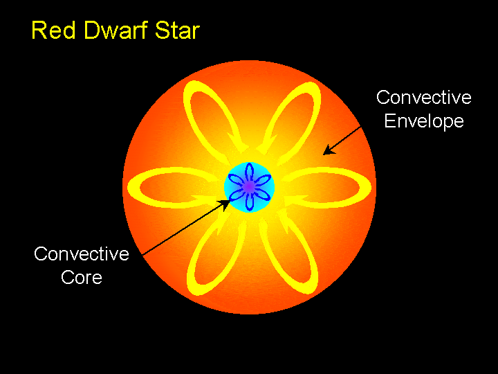 Red Dwarf Star | Information, Definition