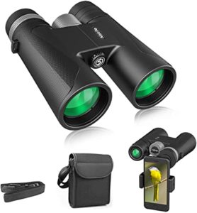Compact Binoculars for Adults