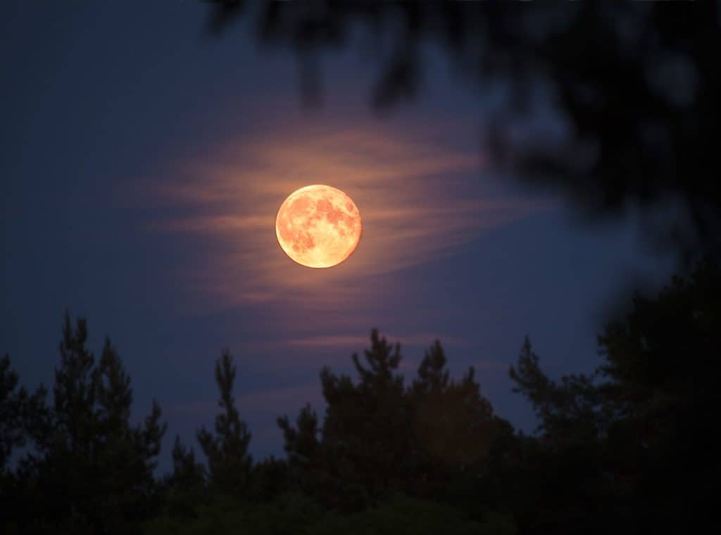 April Full Moon | Facts, Information, History, Meaning & Names