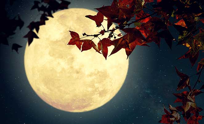 November Full Moon | Facts, History, Names, Spiritual Meaning, Festivals
