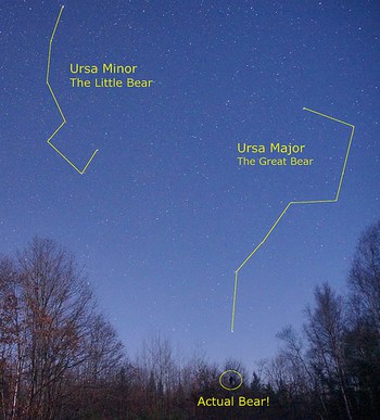 ursa minor constellations